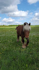 Groupement Forestier de Goumat Chaingy