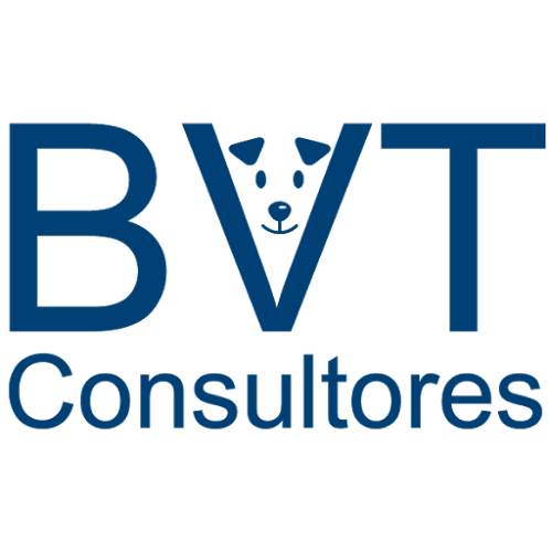 BVT Diseño web y consultoría - Angol
