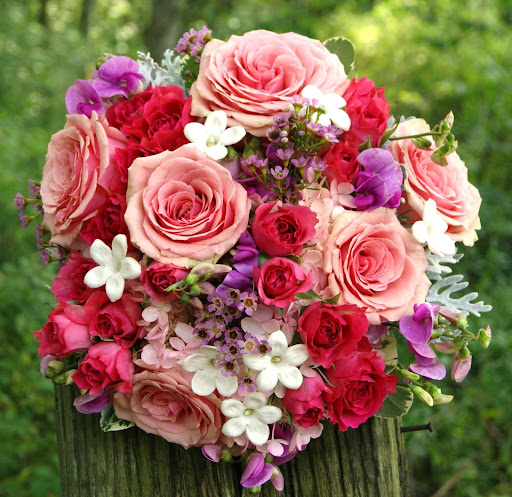 Florist «Floral Expressions», reviews and photos, 490 Buckland Rd, South Windsor, CT 06074, USA