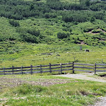 Photo n°12 de l'avis de Sa.c fait le 03/08/2023 à 16:22 sur le  Almschank Platzer à Barbian