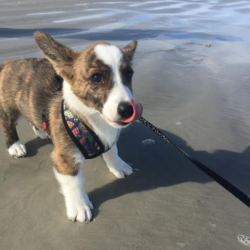 Gym «Retro Fitness», reviews and photos, 130 Washington St, Hoboken, NJ 07030, USA