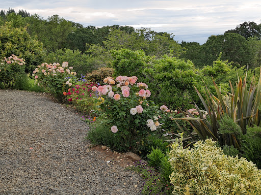 Vineyard «Cristom Vineyards», reviews and photos, 6905 Spring Valley Rd NW, Salem, OR 97304, USA