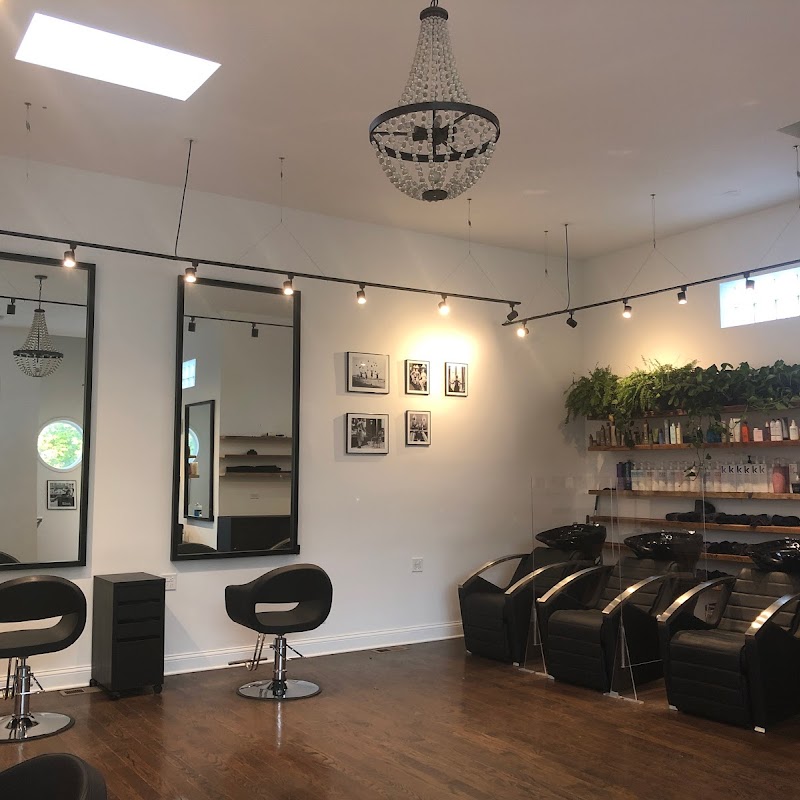 Lincoln Park Hair Salon