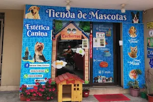 Animal Shop image