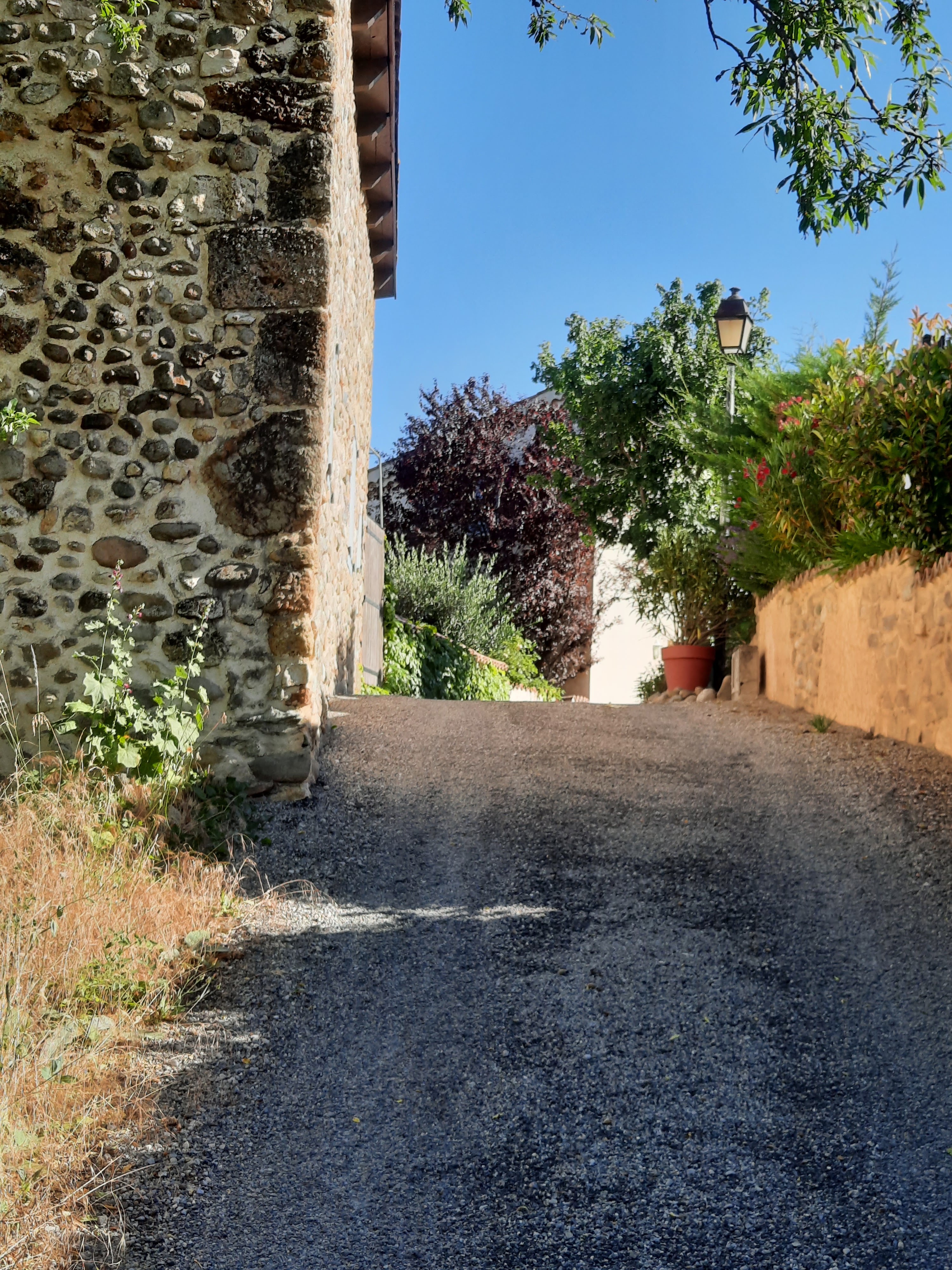 Photo n° 20 de l'avis de Agnes.a fait le 11/07/2021 à 20:20