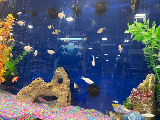 PetSmart image