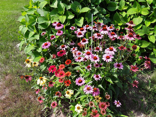 Golf «Great Chebeague Golf Club», reviews and photos, 16 Stone Wharf Rd, Chebeague Island, ME 04017, USA