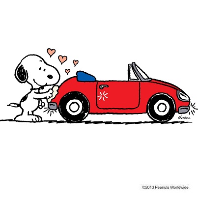 Insurance Agency «MetLife Auto & Home Insurance - Plattsburgh, NY - Joel Maggy Agent», reviews and photos