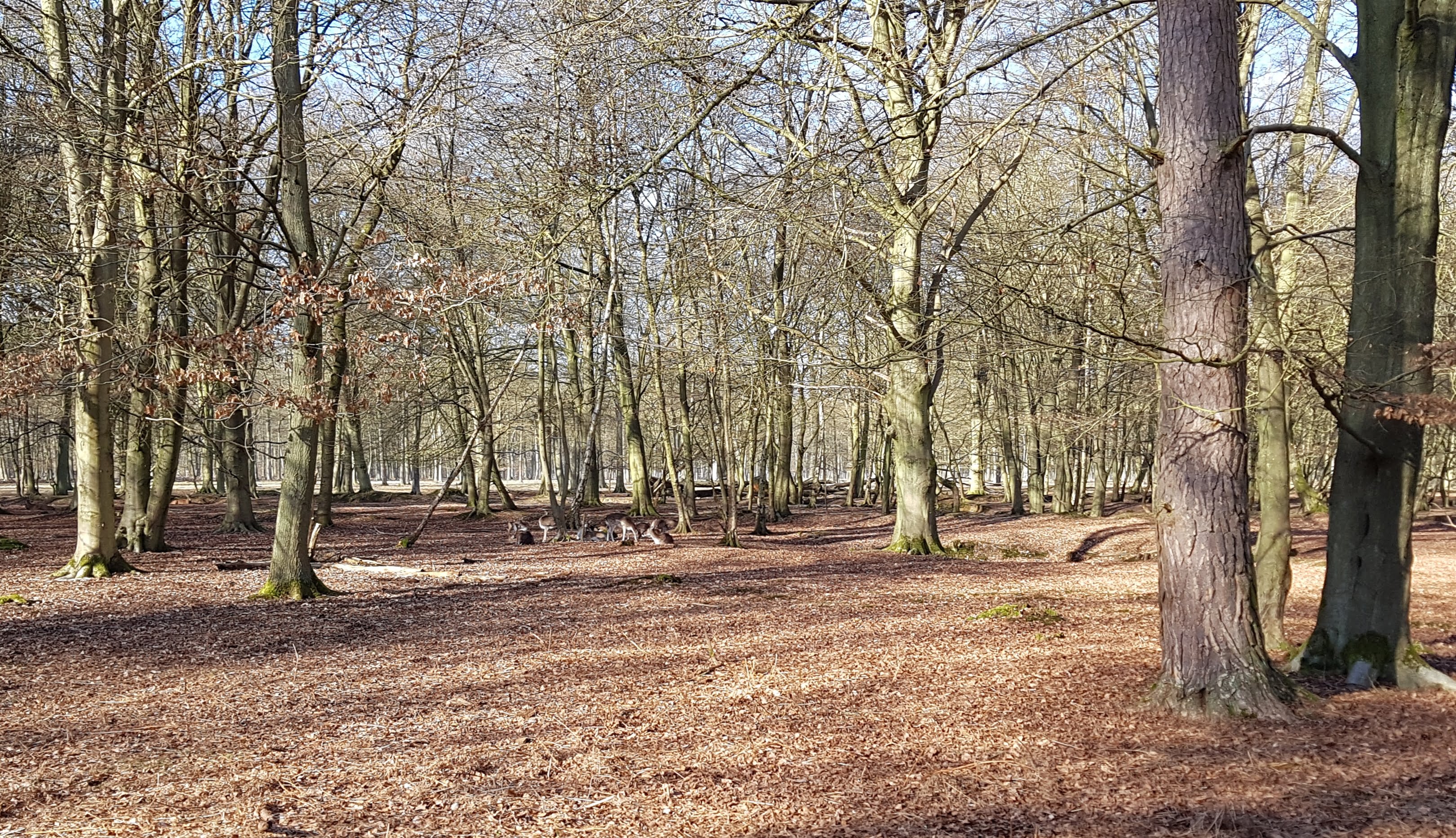 Photo n° 1 de l'avis de Erick.A fait le 15/02/2019 à 15:07