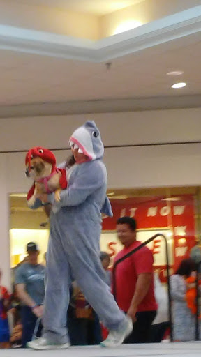 Shopping Mall «Palmer Park Mall», reviews and photos, 123 Palmer Park Mall, Easton, PA 18045, USA