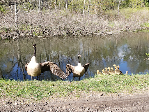 Nature Preserve «Leonard Preserve», reviews and photos, N Union St, Manchester, MI 48158, USA