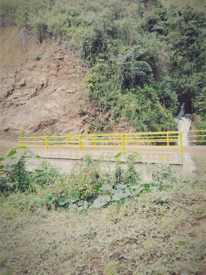 Puente del Río Honduras