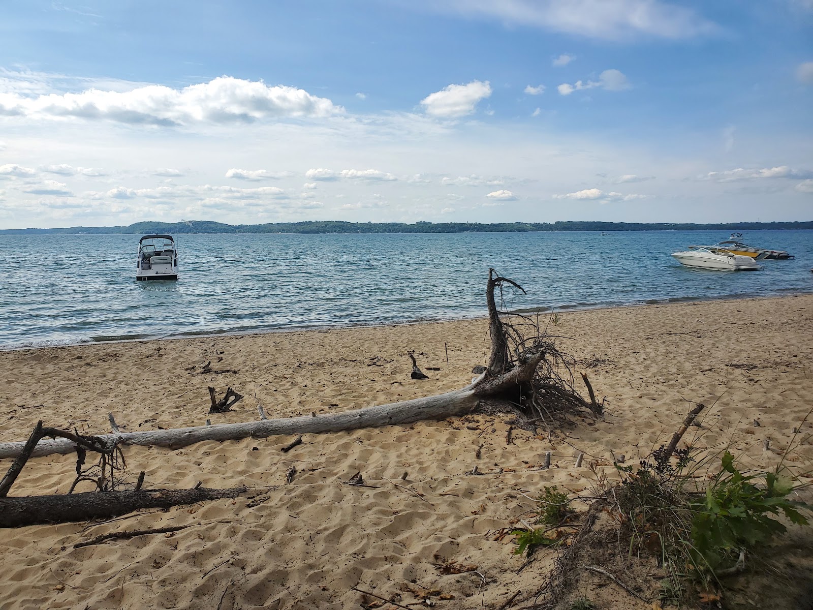 Foto de Maple Bay Beach - lugar popular entre los conocedores del relax