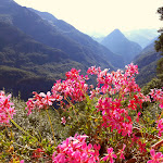 Photo n°3 de l'avis de Ambrogio.a fait le 13/08/2021 à 16:47 sur le  La Locanda della Pineta à Trasquera