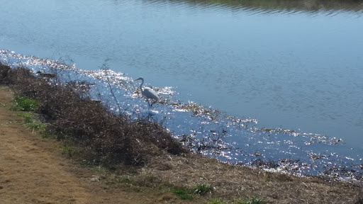 Golf Course «Waterchase Golf Club», reviews and photos, 8951 Creek Run Rd, Fort Worth, TX 76120, USA