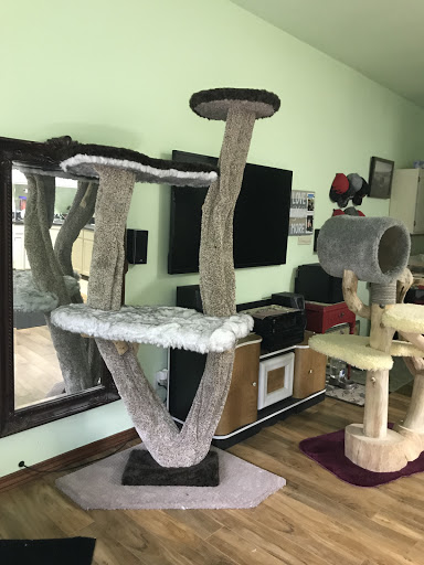 Pet Supply Store «Healthy Pet», reviews and photos, 16140 Boones Ferry Rd, Lake Oswego, OR 97035, USA