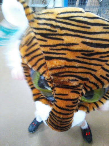 Department Store «Walmart Supercenter», reviews and photos, 1275 E 2nd St, Franklin, OH 45005, USA