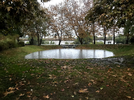 Marsh Street Nature Park