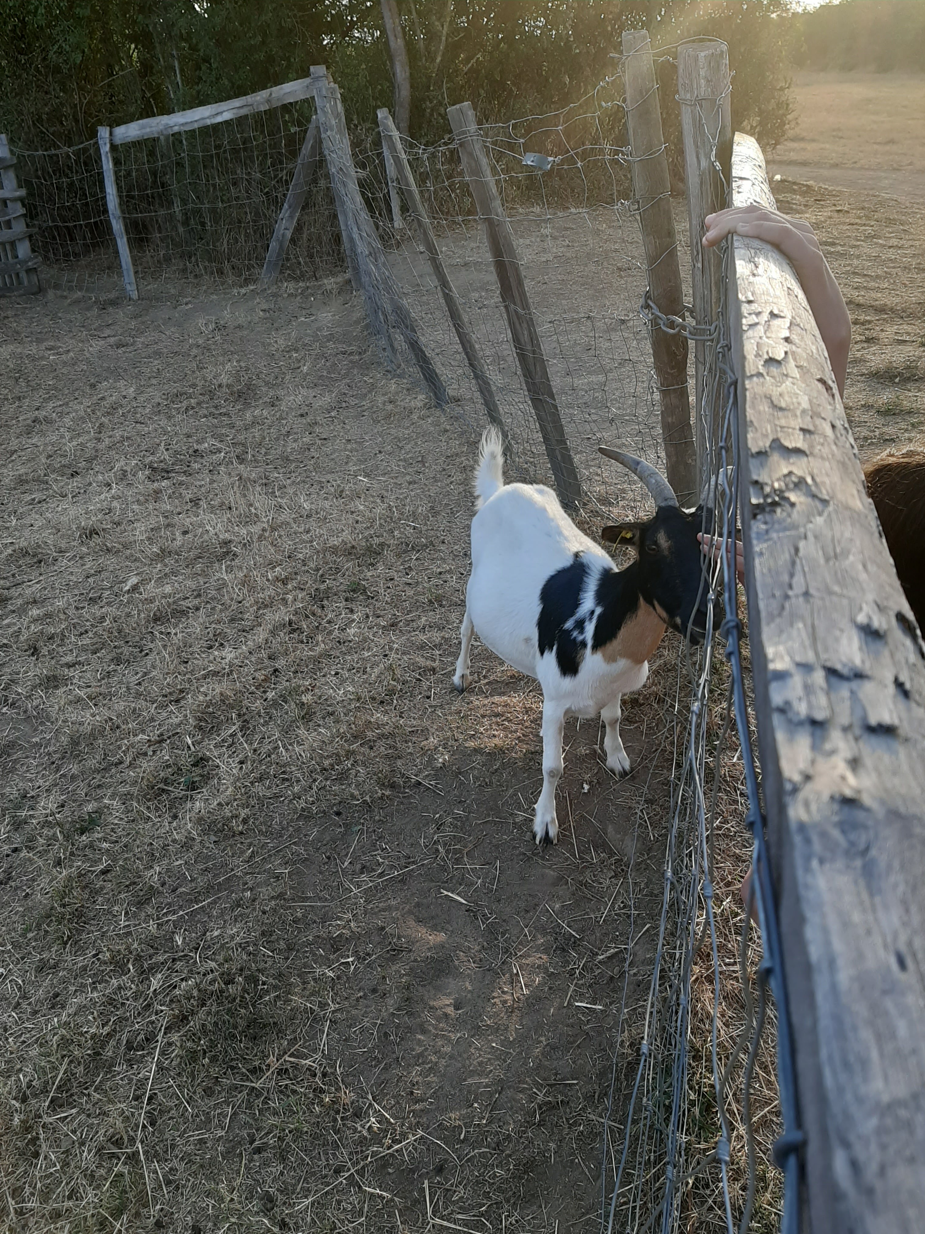 Photo n° 3 de l'avis de cyrille.i fait le 11/08/2020 à 19:07