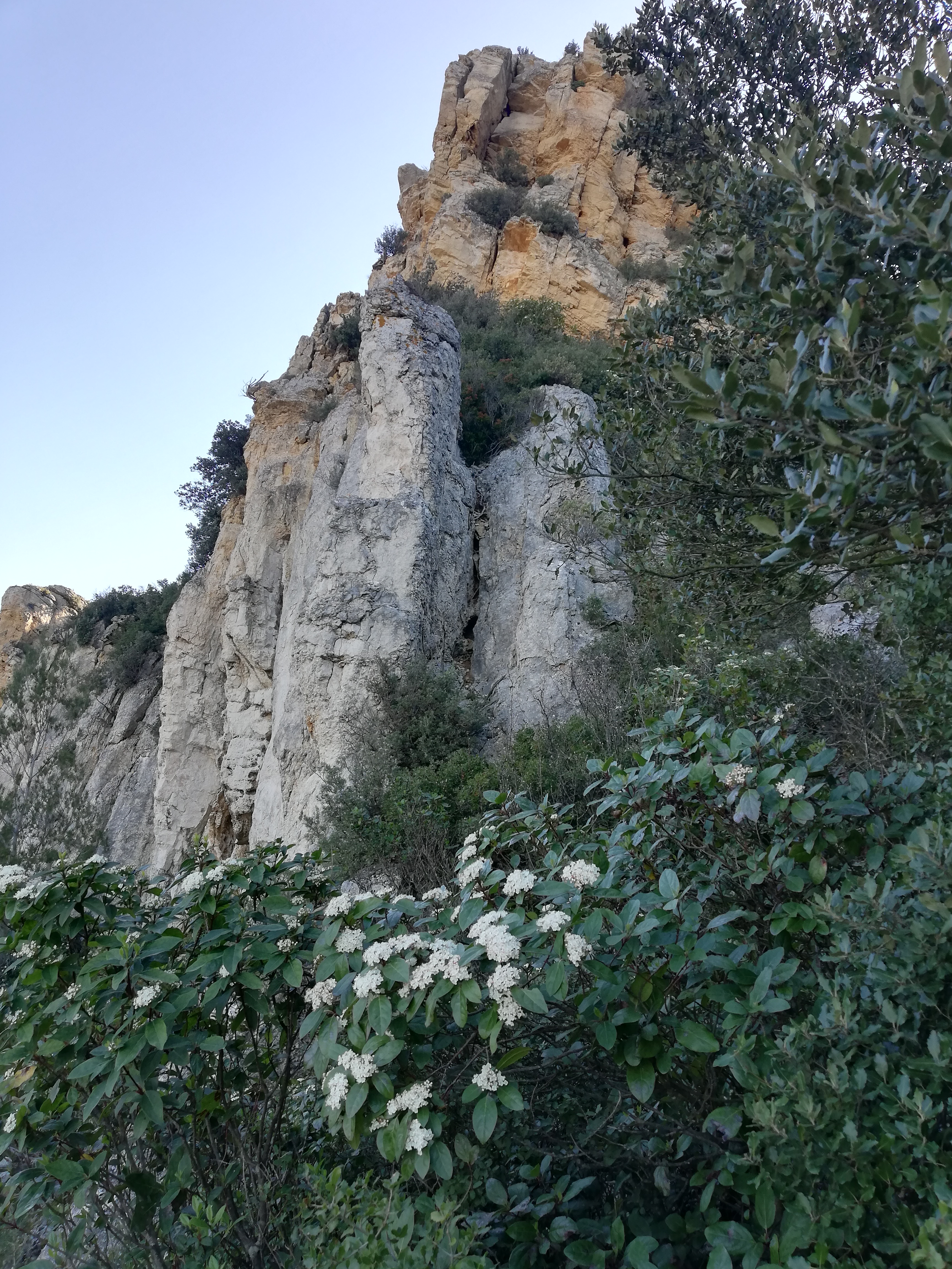 Photo n° 4 de l'avis de La.r fait le 11/04/2019 à 06:57