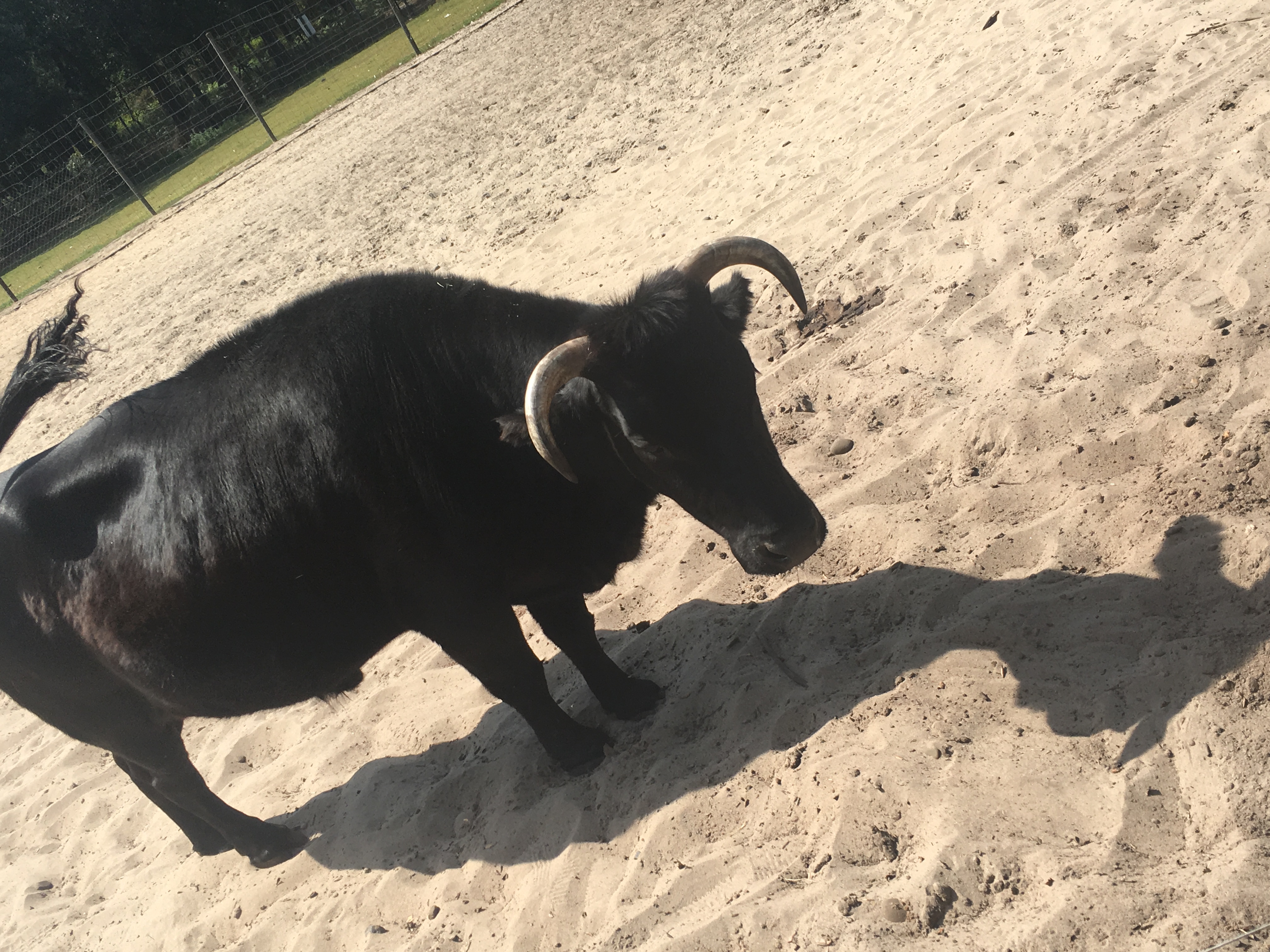 Photo n° 22 de l'avis de Coco.p fait le 24/08/2017 à 14:18