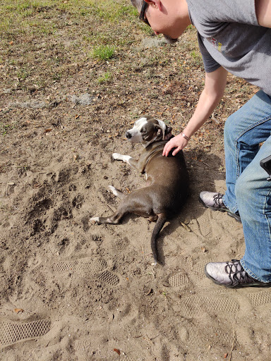 Skateboard Park «NSB Skatepark», reviews and photos, 245 Industrial Park Ave, New Smyrna Beach, FL 32168, USA