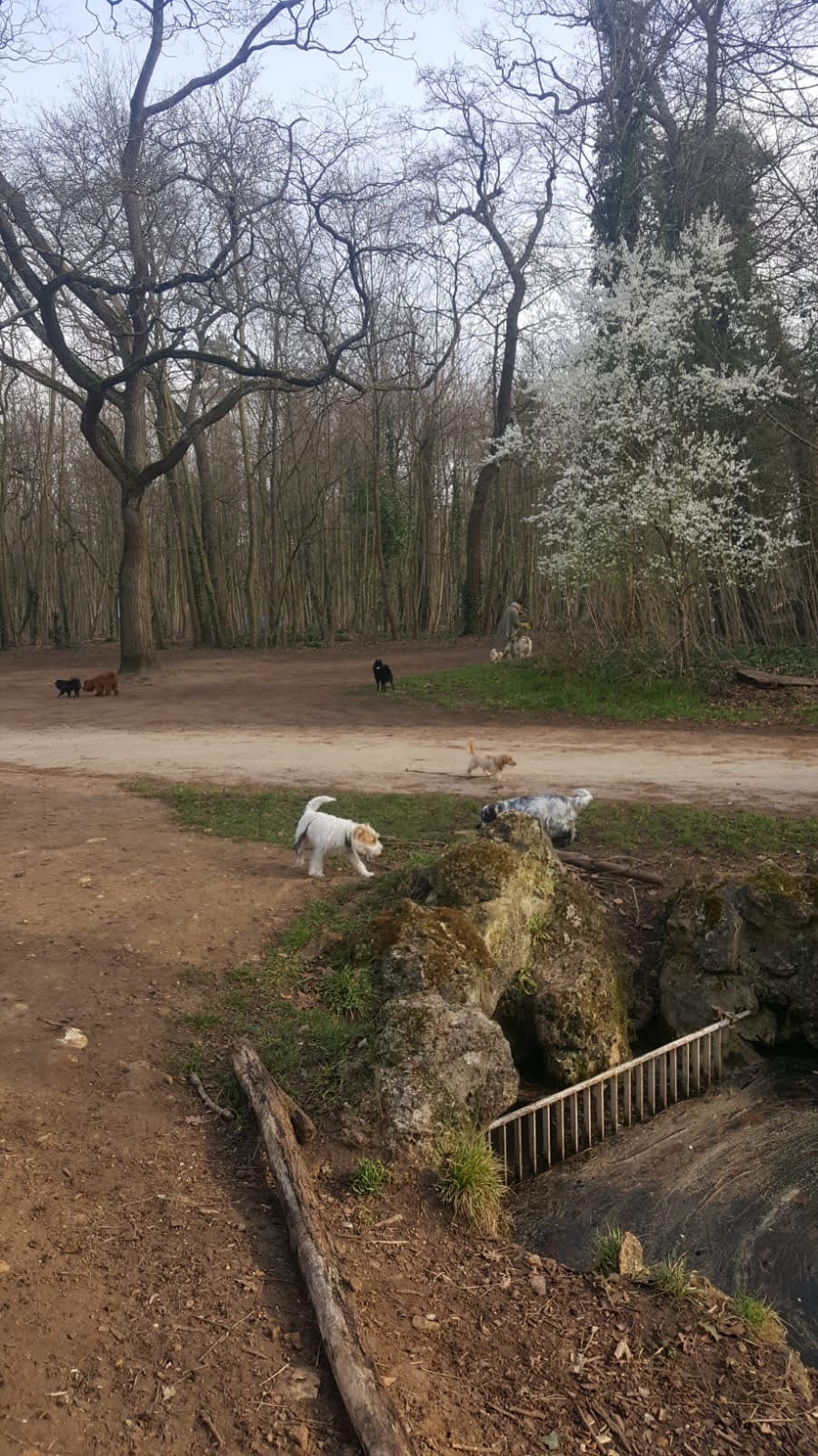 Photo n° 3 de l'avis de Jean-François.e fait le 06/03/2021 à 23:43