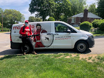 Mosquito Shield of Westchester County NY - Photo 1 - Car repair in , Stamford