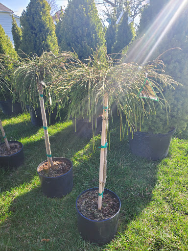 Garden Center «Salsbery Garden Center», reviews and photos, 6346 W Broadway, McCordsville, IN 46055, USA