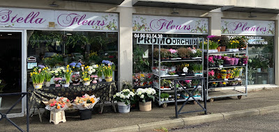 Stella Fleurs à Arles