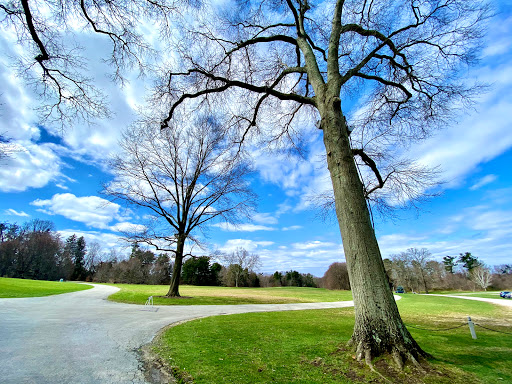 Tourist Attraction «Old Westbury Gardens», reviews and photos, 71 Old Westbury Rd, Westbury, NY 11590, USA