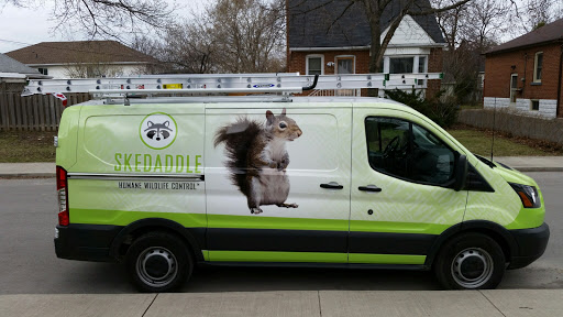 Skedaddle Humane Wildlife Control