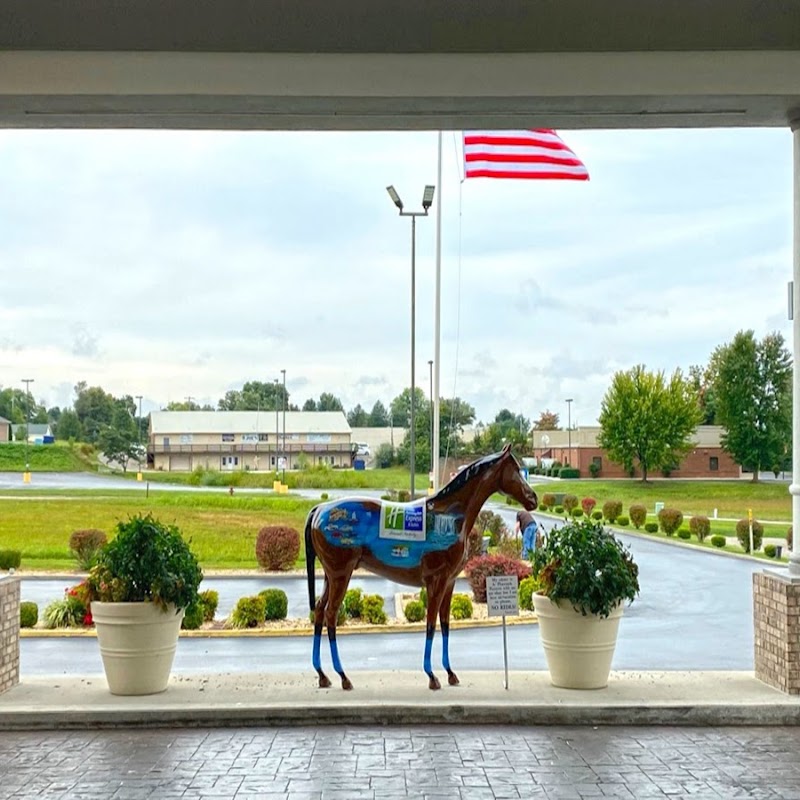 Holiday Inn Express & Suites - Somerset Central