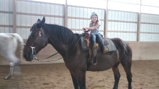 Horse Riding School «Horseng Farm LLC», reviews and photos, 6475 Warden Rd, New Tripoli, PA 18066, USA