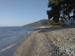 Mylos Beach'in fotoğrafı imkanlar alanı