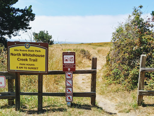 North Whitehouse Creek Trail