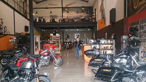 Harley Davidson Las Palmas Gubra