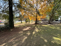 Avalon's Landscaping - Photo 6 - Car repair in , Sandy Springs