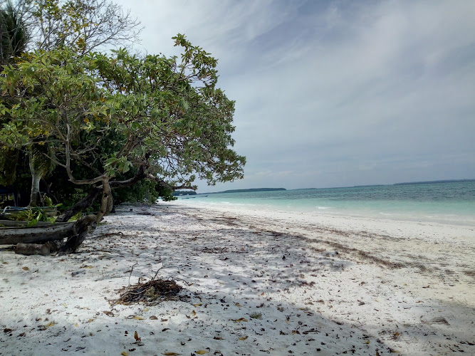 Pantai Ngursarnadan