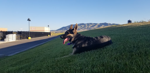 Home Improvement Store «Tractor Supply Co.», reviews and photos, 1303 North Exchange Dr, Saratoga Springs, UT 84045, USA