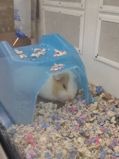 Shopping Mall «Andorra Shopping Center», reviews and photos, 701 Cathedral Rd, Philadelphia, PA 19128, USA