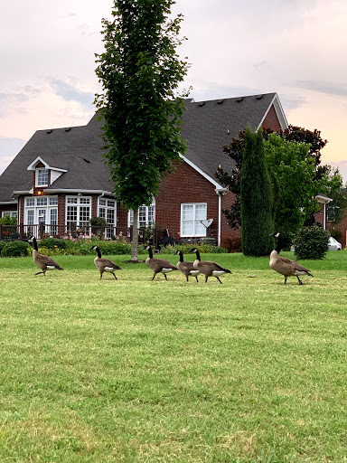 Golf Club «Five Oaks Golf & Country Club», reviews and photos, 621 5 Oaks Blvd, Lebanon, TN 37087, USA