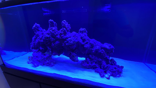 Pet Supply Store «Reef Plus», reviews and photos, 935 Oak St, North Aurora, IL 60542, USA