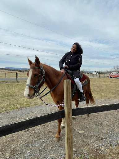 Tourist Attraction «Jordan Hollow Stables», reviews and photos, 657 Pine Grove Rd, Stanley, VA 22851, USA