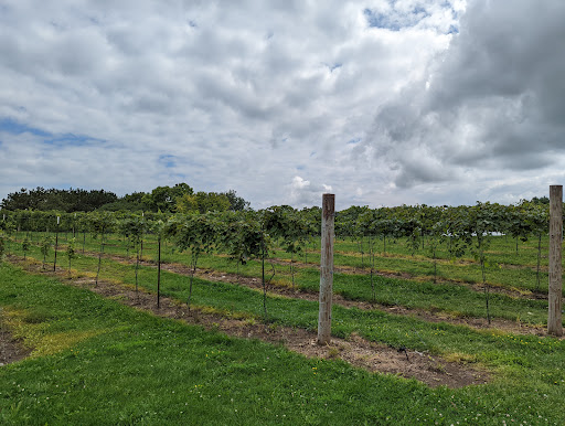 Winery «Drumlin Ridge Winery», reviews and photos, 6000 River Rd, Waunakee, WI 53597, USA