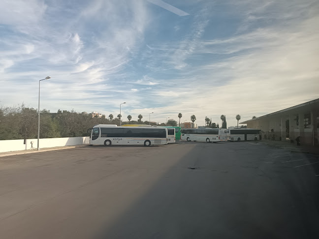 http://eva-bus.com/