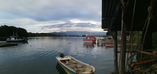 Teléfono de Cultivos Marinos Queule (Venta De Choros Maltones Y Ostras Japonesas)