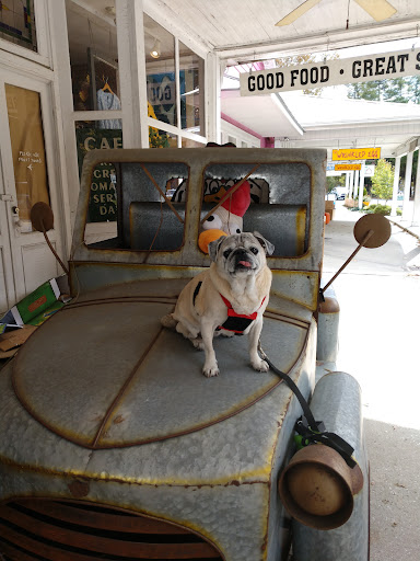 Gift Shop «The Wrinkled Egg», reviews and photos, 2710 NC-225, Flat Rock, NC 28731, USA