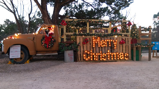 Performing Arts Theater «Emilyann Theatre», reviews and photos, 1101 Ranch Rd 2325, Wimberley, TX 78676, USA