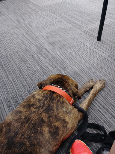 Honda Dealer «Honda Kingsport», reviews and photos, 2217 E Stone Dr, Kingsport, TN 37660, USA